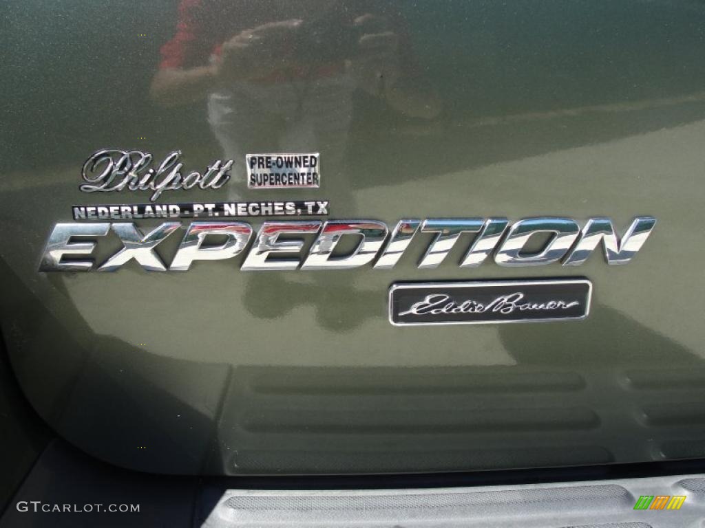 2003 Expedition Eddie Bauer - Estate Green Metallic / Medium Parchment photo #20