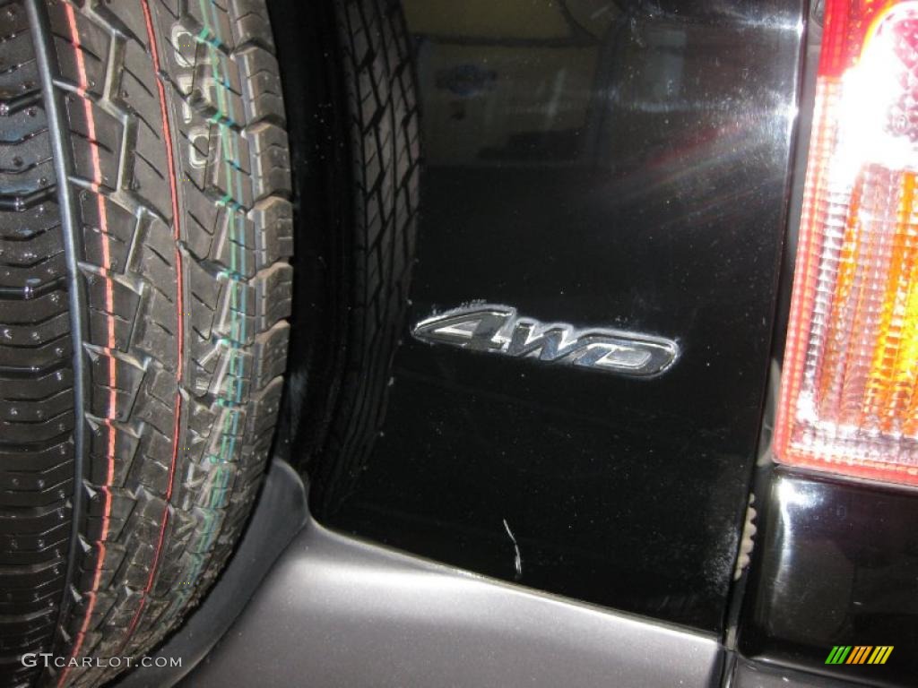 2003 RAV4 4WD - Black / Gray photo #8
