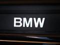 2006 Black Sapphire Metallic BMW 3 Series 330i Sedan  photo #41