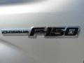 2010 Ingot Silver Metallic Ford F150 Platinum SuperCrew 4x4  photo #11
