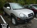 Sahara Silver - Tucson GLS V6 4WD Photo No. 1