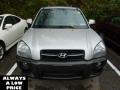 Sahara Silver - Tucson GLS V6 4WD Photo No. 2