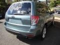 2009 Sage Green Metallic Subaru Forester 2.5 X Premium  photo #6