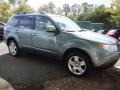 2009 Sage Green Metallic Subaru Forester 2.5 X Premium  photo #9