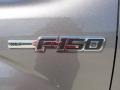 2010 Sterling Grey Metallic Ford F150 XLT SuperCrew  photo #11