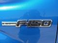 2010 Blue Flame Metallic Ford F150 FX4 SuperCrew 4x4  photo #11