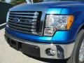 2010 Blue Flame Metallic Ford F150 XLT SuperCrew  photo #9