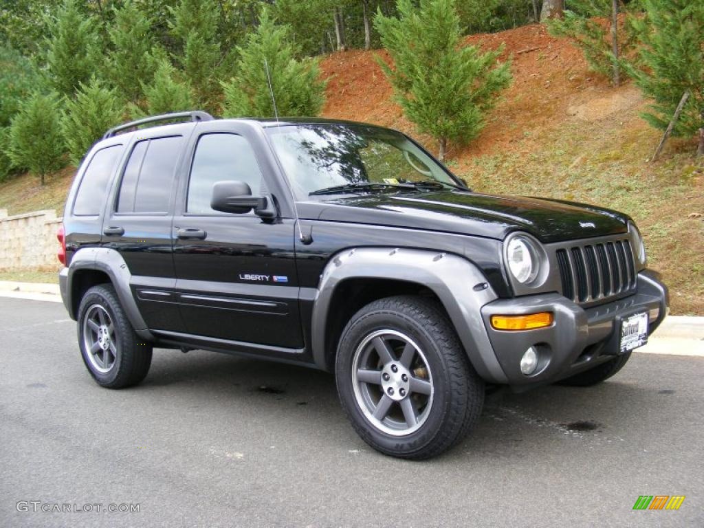 2003 Liberty Freedom Edition 4x4 - Black Clearcoat / Light Taupe/Dark Slate Gray photo #3