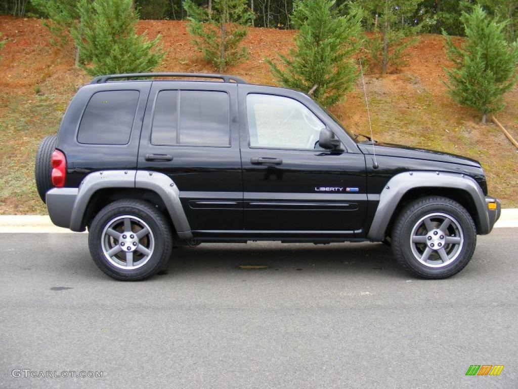 2003 Liberty Freedom Edition 4x4 - Black Clearcoat / Light Taupe/Dark Slate Gray photo #4