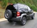2003 Black Clearcoat Jeep Liberty Freedom Edition 4x4  photo #5