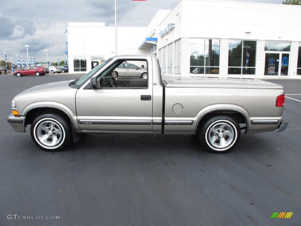 1999 S10 LS Regular Cab - Light Pewter Metallic / Beige photo #1