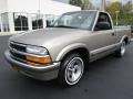 1999 Light Pewter Metallic Chevrolet S10 LS Regular Cab  photo #3