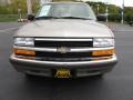 1999 Light Pewter Metallic Chevrolet S10 LS Regular Cab  photo #4