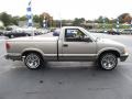 1999 Light Pewter Metallic Chevrolet S10 LS Regular Cab  photo #6