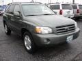 Oasis Green Pearl - Highlander Limited 4WD Photo No. 3