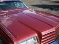Tapestry Red Metallic - Magnum Coupe Photo No. 11