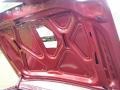 Tapestry Red Metallic - Magnum Coupe Photo No. 53