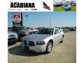 Bright Silver Metallic - Charger SXT Photo No. 1