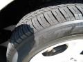 Bright Silver Metallic - Charger SXT Photo No. 8