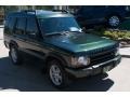 2004 Epsom Green Land Rover Discovery SE  photo #14