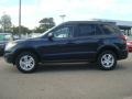 2010 Pacific Blue Pearl Hyundai Santa Fe GLS  photo #3