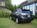 2010 Smokey Granite Mica Lexus RX 350 AWD  photo #2