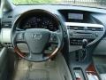 2010 Smokey Granite Mica Lexus RX 350 AWD  photo #4