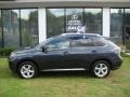 2010 Smokey Granite Mica Lexus RX 350 AWD  photo #14