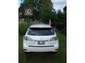 2010 Starfire White Pearl Lexus RX 350 AWD  photo #20
