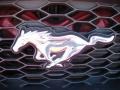 Torch Red - Mustang V6 Deluxe Convertible Photo No. 9