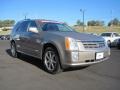 Cashmere Metallic - SRX V8 Photo No. 7