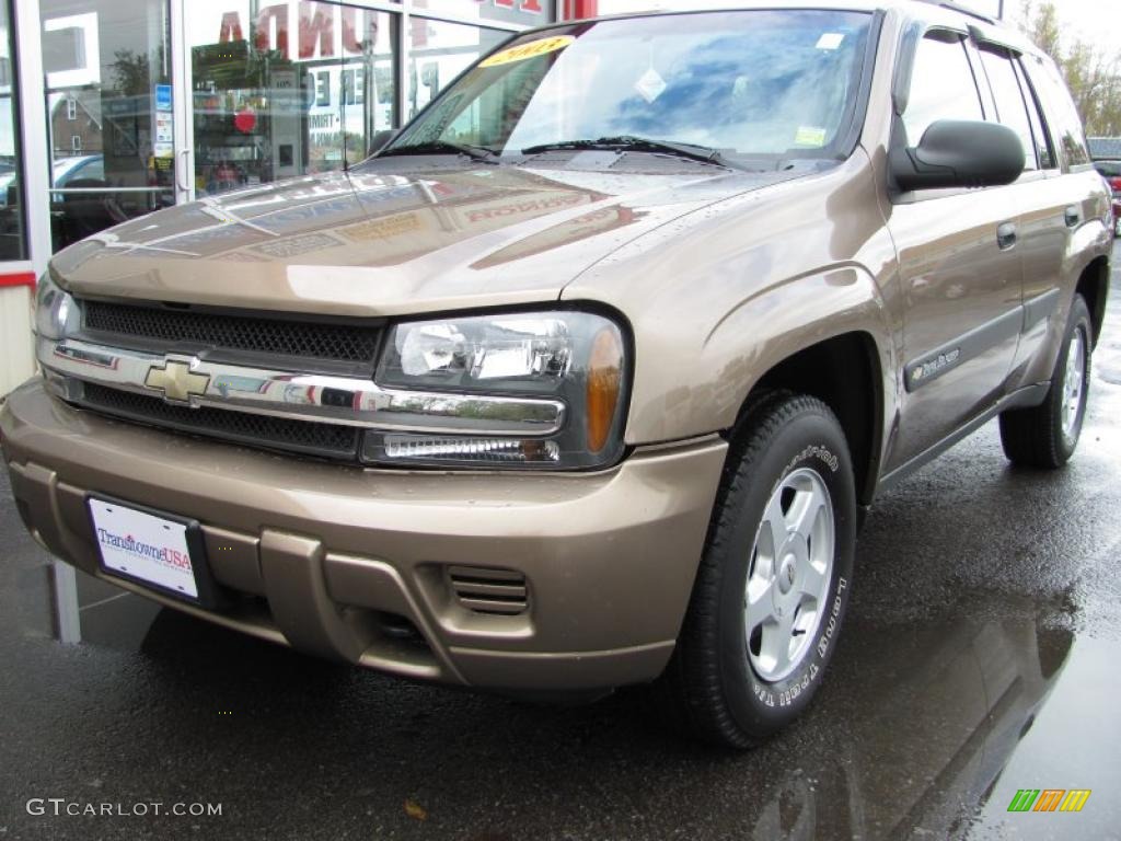 2003 TrailBlazer LS 4x4 - Sandalwood Metallic / Medium Pewter photo #1