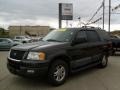 2005 Dark Stone Metallic Ford Expedition XLT 4x4  photo #1