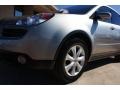 Titanium Silver Metallic - B9 Tribeca 7 Passenger Photo No. 25