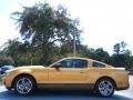 2010 Sunset Gold Metallic Ford Mustang V6 Premium Coupe  photo #2