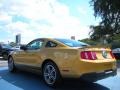 2010 Sunset Gold Metallic Ford Mustang V6 Premium Coupe  photo #3