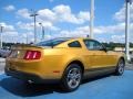 2010 Sunset Gold Metallic Ford Mustang V6 Premium Coupe  photo #5