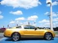 2010 Sunset Gold Metallic Ford Mustang V6 Premium Coupe  photo #6