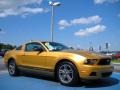2010 Sunset Gold Metallic Ford Mustang V6 Premium Coupe  photo #7