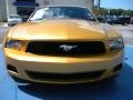 2010 Sunset Gold Metallic Ford Mustang V6 Premium Coupe  photo #8
