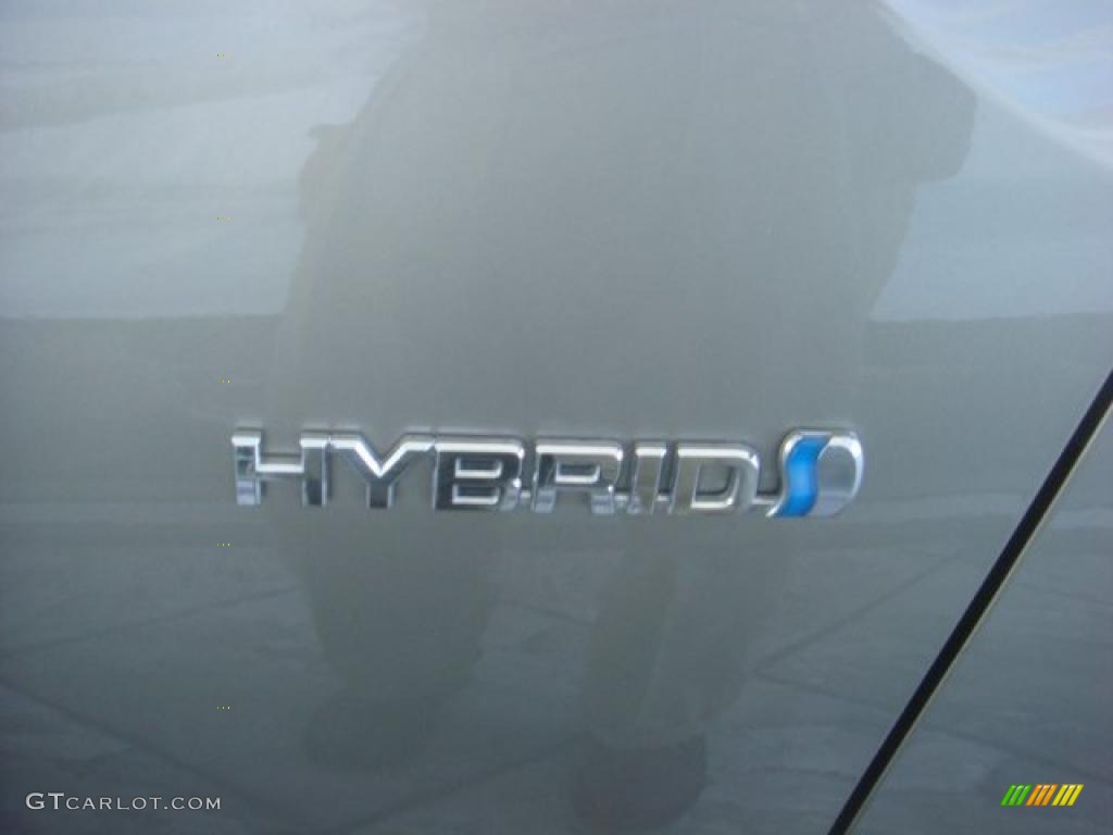 2006 Prius Hybrid - Driftwood Pearl / Beige photo #5