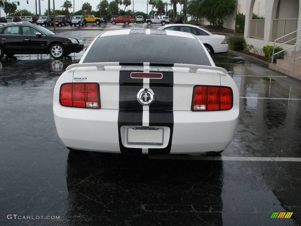 2005 Mustang V6 Premium Coupe - Performance White / Light Graphite photo #8