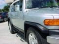 Titanium Metallic - FJ Cruiser  Photo No. 2