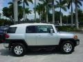 Titanium Metallic - FJ Cruiser  Photo No. 6