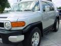 Titanium Metallic - FJ Cruiser  Photo No. 15