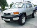 Titanium Metallic - FJ Cruiser  Photo No. 16