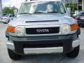 Titanium Metallic - FJ Cruiser  Photo No. 17