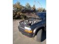 2001 Forest Green Metallic Chevrolet S10 LS Extended Cab 4x4  photo #15