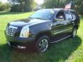 Black Raven - Escalade AWD Photo No. 2