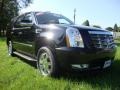 Black Raven - Escalade AWD Photo No. 5